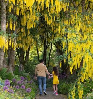 一名男子和一名女孩穿过花园