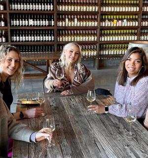 一群妇女围坐在木桌旁,手捧酒杯