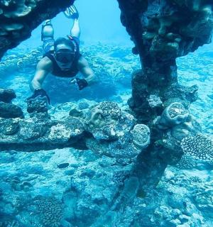 a person is swimming in the water near the reefs