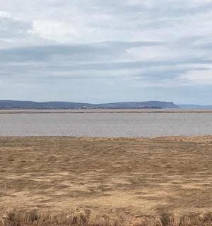 an empty field with a large body of water