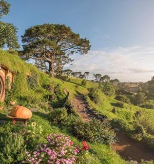 郁郁葱葱的绿色山坡上开满了鲜花，还有一栋建筑