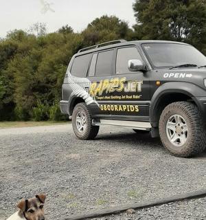 a dog is sitting in front of a truck