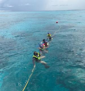 三个人在海里的水中