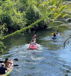 a group of people canoeing down a river