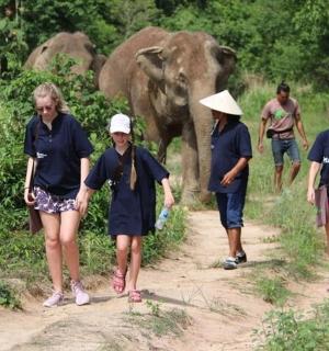 a group of people walking down a dirt path with an elephant