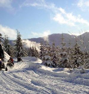 一群人在雪地里滑雪