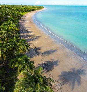 棕榈树海滩的鸟瞰图