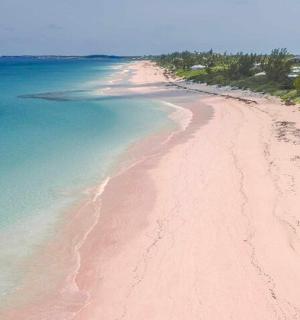 an aerial view of a sandy beach in the ocean