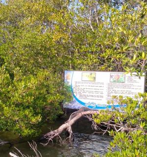 a sign in the bushes next to a river