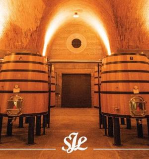 酒窖里的一排酒桶