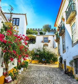 鲜花盛开的村庄里的鹅卵石街道