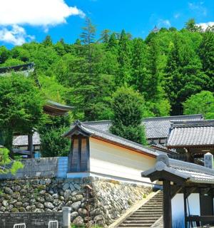 arka planda ağaçlar bulunan bir grup bina