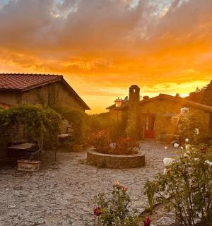 žena stojící v zahradě se západem slunce v pozadí