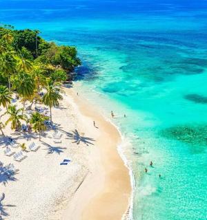 an aerial view of a beach with palm trees and the ocean