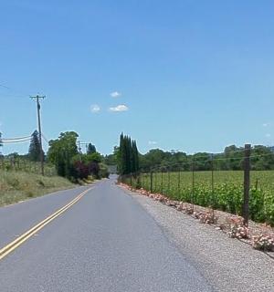 花田旁的空旷道路