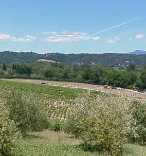 一片有树木和道路的田野的景色