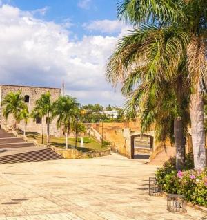 Un patio con palmeras y un edificio.