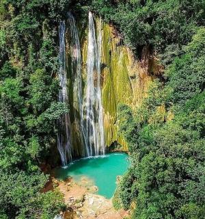 an aerial view of a waterfall in a forest