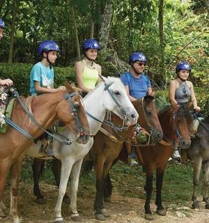a group of people riding horses in the woods