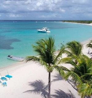 有棕榈树和小船的海滩