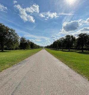 an empty road with trees on the sides of a field