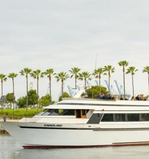 水中有一艘白色的船,周围有棕榈树