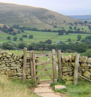 田野里的石篱笆和大门