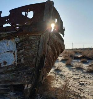 田野中央的一把旧枪