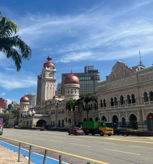 街道前有一棵棕榈树的建筑