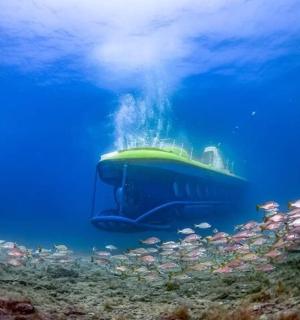 a boat in the ocean with a school of fish