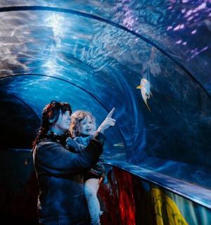 a woman pointing at a fish in an aquarium
