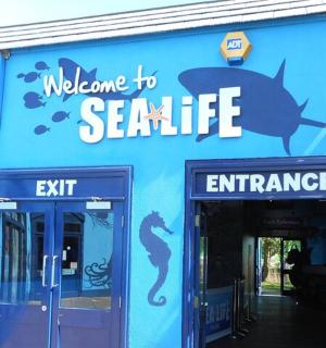 a blue building with the entrance to a seafood restaurant