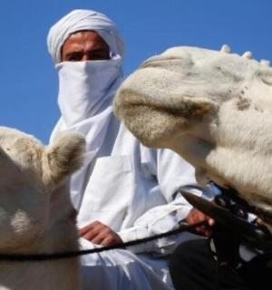 两个人站在两头骆驼旁边