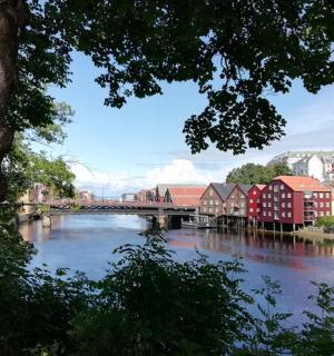 一座横跨河流的桥，桥上有建筑物和一座城镇