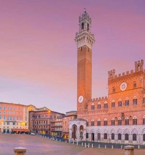 城市中心的钟楼