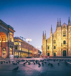 grupa gołębi przed dużym budynkiem