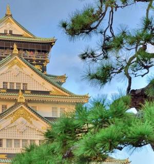 一座塔,塔前有一棵松树