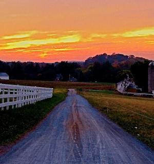purvinas kelias lauko viduryje su saulėlydžiu