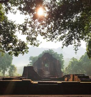位于树木繁茂的田野中央的建筑物
