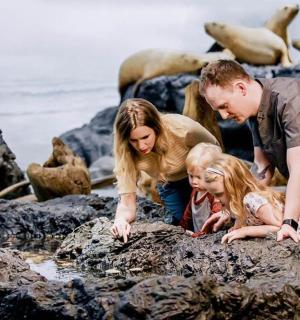 一家人在海滩上看着岩石