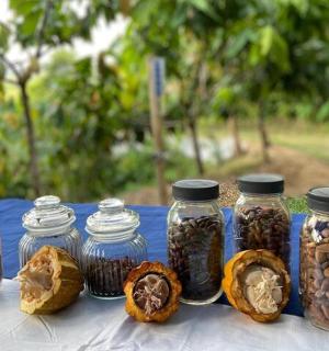 桌子上放着一组装有种子和坚果的罐子