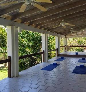 带吊扇和蓝色垫子的门廊