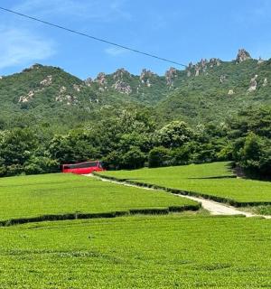 a green field with a red barn in the middle of a mountain