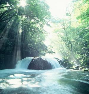 vodopád uprostřed lesa