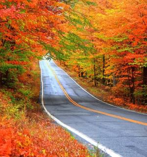 an empty road in the fall with colorful trees