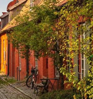 停在街道建筑物旁边的自行车