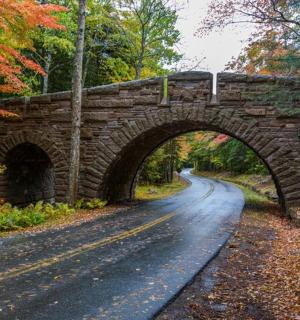 树林里道路上的一座石桥