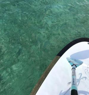 a paddle board in the water with a drawing on it