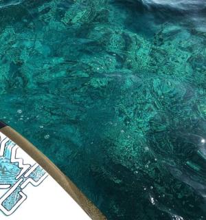 a close up of a skateboard on top of water