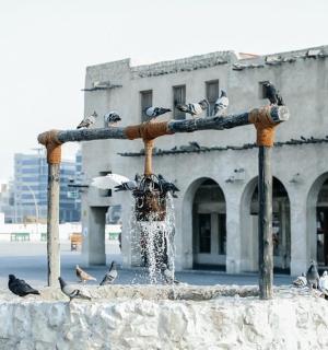 建筑物前的喷泉，上面栖息着鸟儿